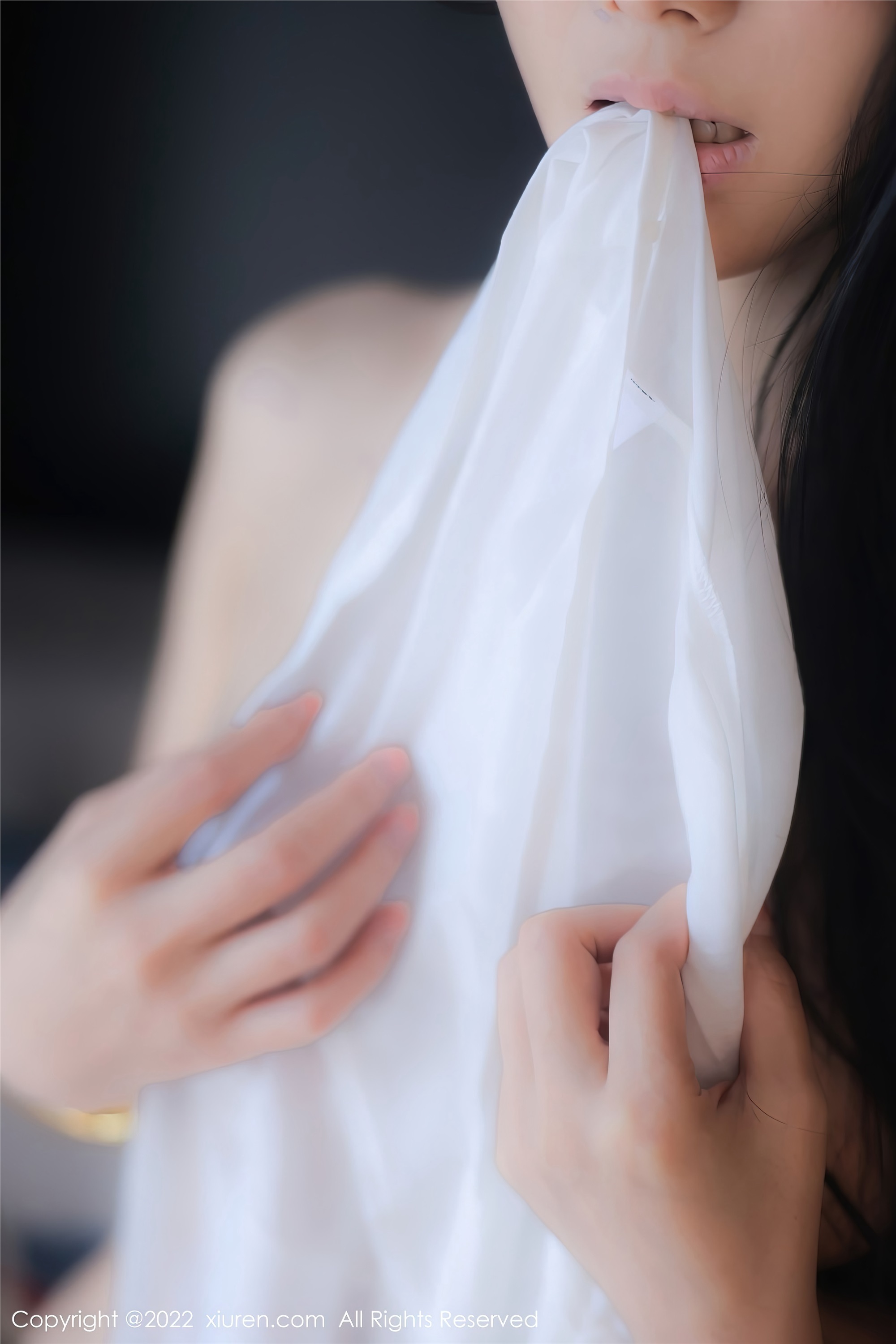 Xiuren秀人网 2022.11.03 NO.5799 苏苏阿